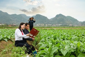 Thông tin địa chỉ PGD Agribank Châu Long, Tây Hồ
