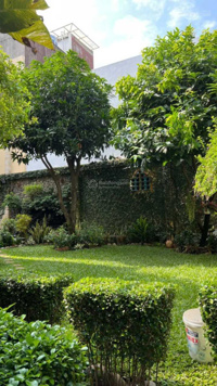 Cho thuê nhà nguyên căn 10x21m làm văn phòng, spa, cafe, đường thông ra Lũy Bán Bích, Âu Cơ Tân Phú