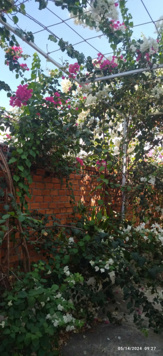 Bán nhà sát biển Lagi, chưa đầy 2 tỷ, 100 m2 nhà hưởng thụ sóng biển