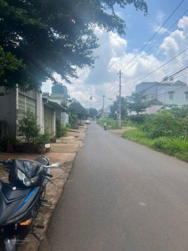 Đất mặt tiền kinh doanh phường Tân Lợi, 25x30m thổ cư riêng, hướng Nam, đường 16m