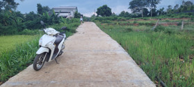 Bán đất thổ cư view đồng lúa tại trung tâm xã Ea Phê, Krông Pắc, Đắk Lắk cơ hội vàng cho nhà đầu tư