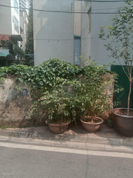 Ô tô - lô góc - tiện ích bạt ngàn - ở sướng. Bán Đất. Giang Biên. DT. 45m. MT. 4 m Giá 6.89 tỷ