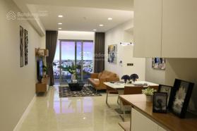 Bán căn hộ chung cư Saigonres Plaza, 2PN, 76m2, 2,7 tỷ, 3PN - 87m2 - 3,4 tỷ. LH: 0909 286 392