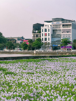 Duy nhất 1 căn bán, mặt phố Phúc Lợi, vỉa hè đường 25m, kinh doanh đa dạng, DT 100m2 - 19. X tỷ