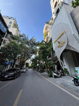 Bán gấp căn nhà vị trí đẹp mặt ngõ Láng Hạ, Giảng Võ, Thái Hà, Thành Công Ba Đình DT 280 m2 110 tỷ