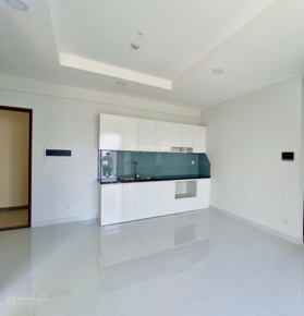 [Sổ hồng sẵn] Bán căn hộ The Pegasuite 2 (1PN+) View Q1. Hỗ trợ vay