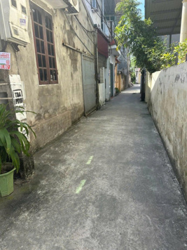 Lô đất thôn Trân Tảo, sát trường cấp 1,2. Sẵn nhà cấp 4 cho thuê dòng tiền