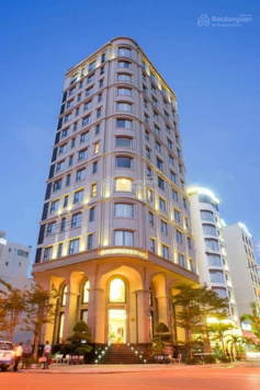 Bán nhà mặt phố Đinh Tiên Hoàng sổ đỏ chính chủ 1 mặt phố 1 mặt ngõ diện tích 275m2 mặt tiền 10,1m