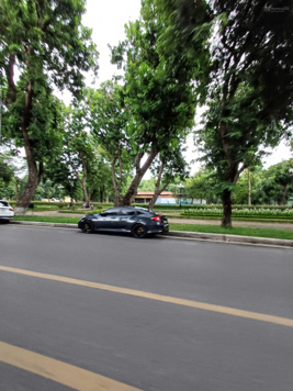 Hàng hiếm - Bán 300m2 mặt phố Hàng Đào - MT siêu đẹp - Giá yêu thương