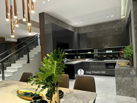 Cho thuê nhà biệt thự, liền kề tại Phú Mỹ Hưng giá từ 30triệu/th 4pn 5wc, gần Hồ Bán Nguyệt, SSIS