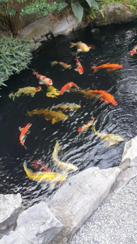 Siêu phẩm biệt thự khu Q đẳng cấp nhất Ciputra - thang máy hiện đại - view sông và sân golf