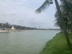 Rẻ nhất 17 tỷ biệt thự liền kề Ngọc Trai đảo lớn gần góc 70,8m2 Tây Bắc Vinhomes Ocean Park Gia Lâm