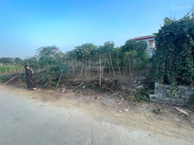 Bán đất tại DH09, Hòa Thạch, Quốc Oai, Hà Nội, 4,83 tỷ, 350 m2