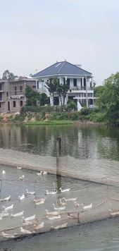 Bán đất giãn dân Đường Nhạn  Xuân Nộn giá rẻ gần hồ điều hòa