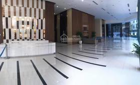 CĐT Discovery Complex 302 Cầu Giấy bán sàn văn phòng hạng A có sổ 50 năm, DT từ 78m2 - 1000m2