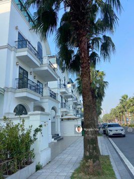 Bán biệt thự đơn lập Hải Âu 280m2 tại Vinhomes Ocean Park Gia Lâm, Hà Nội