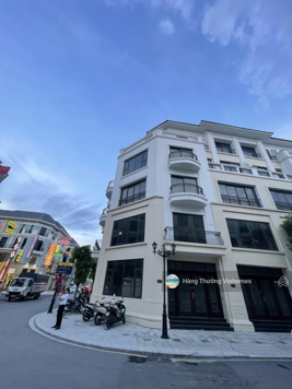 Bán suất ngoại giao chiết khấu ngay 6 tỷ - San hô 7: 84m2, mặt tiền 6m, đường 20m- siêu rẻ 13.9 tỷ