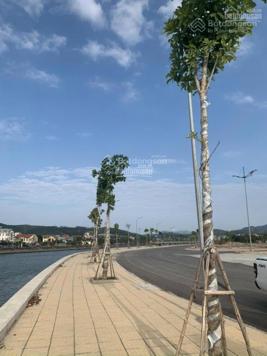 Bán ô đất liền kề KĐT Bắc sông Trới, sổ đỏ chính chủ, ngay cạnh công an thị trấn