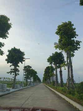 Chính chủ nhờ bán nhanh lô đất dự án Cẩm Đình, Phúc Thọ giá tốt