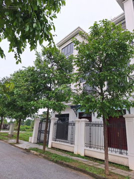 Chính chủ bán nền biệt thự 170m2 dự án Minh Giang Đầm và 28tr/m2; LH 0988 157 385