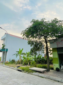 Bán lô đất đấu giá siêu đẹp siêu vip ở Hoà Phong, Mỹ Hào, Hưng Yên bao giá tốt nhất khu vực