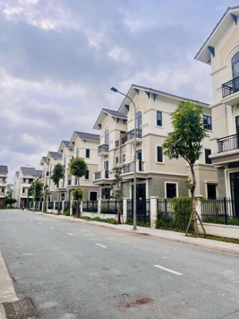 Chính chủ cần bán căn biệt thự 3 tầng siêu đẹp tại dự án Centa City DT 135m2 giá rẻ nhất thị trường