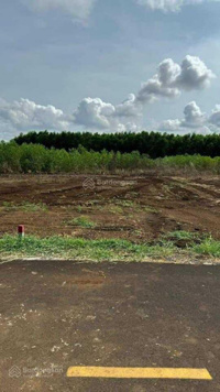 Ngộp bank bán lô đất gần 200m2 xã Phước Long Thọ