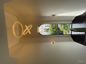 Cho thuê biệt thự đơn lập đảo Ngọc Trai full đồ luxury, mới koong, 300m2, thang máy vào ở luôn