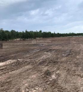 Bán nhanh đất xã Láng Dài, Huyện Đất Đỏ, Tỉnh Bà Rịa - Vũng Tàu