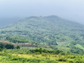 6 ha giá (16 tỷ) có suối trong đất cực đẹp giá rẻ LH: 0985 252 388