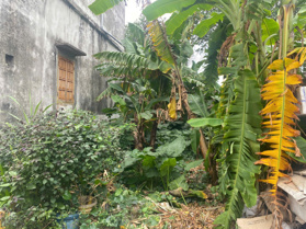 Chính chủ cần bán nhanh đất 99.5m2 tại xã Lệ Chi, Gia Lâm