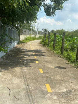 Cho thuê đất + biệt thự vườn, phù hợp kinh doanh dịch vụ, sát sông 3.800m2 giá 55 triệu/tháng