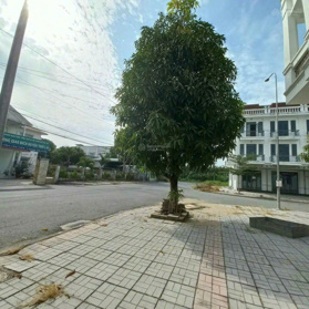 2,190 tỷ - nhà 1 trệt 1 lầu tại khu đô thị mới thị trấn Thới Lai - Cần Thơ