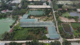 Hơn 2000m2 đất trang trại Cấn Hữu, Quốc Oai. Sẵn nhà khang trang, điện nước, ct phụ, vườn chuồng