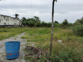 Bán đất Quốc lộ 1A, 3 tỷ, 1277m2, P Láng Tròn, Giá Rai, Bạc Liêu