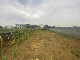 Bán đất làn 2 QL 21A Yên Thái Đông Yên Quốc Oai