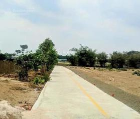 Hàng hiếm tại bán đất 562m2 ở Phước Long Thọ, Đất Đỏ, Bà Rịa Vũng Tàu