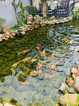 Bán gần 800m2 sẵn khuôn viên, nhà cửa tại Vân Hoà, Ba Vì