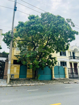 CHO THUÊ BIỆT THỰ ĐƠN LẬP NAM THÔNG 1 - 198M2 - 3T - 5PN - 2.300$ 1 THÁNG - LH 0934 366 386