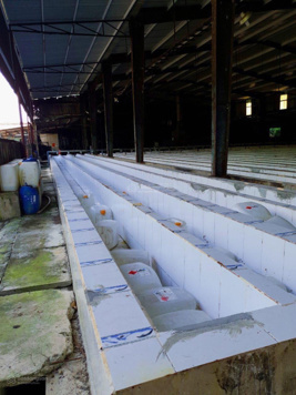 Chính chủ cần bán nhà máy chế biến mủ cao su Hà Hải. Diện tích 35,000 m2, đang hoạt động tốt