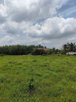 Bán gấp lô 1005m2 để chuyển về quê sinh sống giá siêu mềm chỉ 600tr