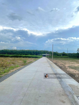 Một sẹc DT 784 cách DT 784 chỉ 100m, 5*33m có TC chỉ 550 tr