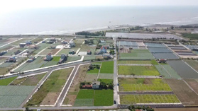 CĐT mở bán đất nền mặt biển Quất Lâm, DT đa dạng, giá siêu rẻ, tiềm năng sinh lời cao