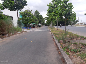 Hàng ngộp bán gấp MTĐ Lê Trọng Tấn sát CA tỉnh An Giang, DT: 103m2, SHR, 0909 583 211