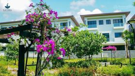 Bán biệt thự tại La Vida Residences, 5,3 tỷ, 78,5 m2, giá ưu đãi hot
