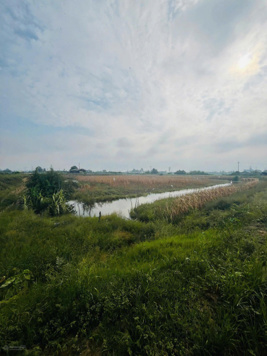 Bán 13,000m2 đất chính chủ cách TP. Long Xuyên 10km