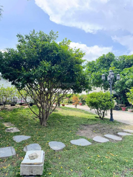 Bán đất thổ cư 371m2, tại phường Hiệp Ninh, thành phố Tây Ninh