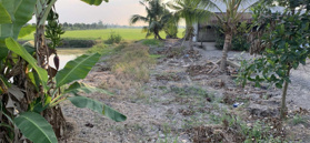 Bán nhà cấp 4 diện tích 3628m2, sổ riêng, lộ nhựa 5m, tại Tháp Mười, Đồng Tháp giá 2 tỷ 7