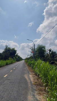 Bán 266,6 m2 CLN tại ấp Phú Lễ, xã Phú Tân, Châu Thành, Hậu Giang