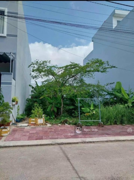 Bán gấp lô đất đường Võ Văn Phát sau CoopMart Sa Đéc, Đồng Tháp, 120m2/550tr SHR,LH: 0898 537 367